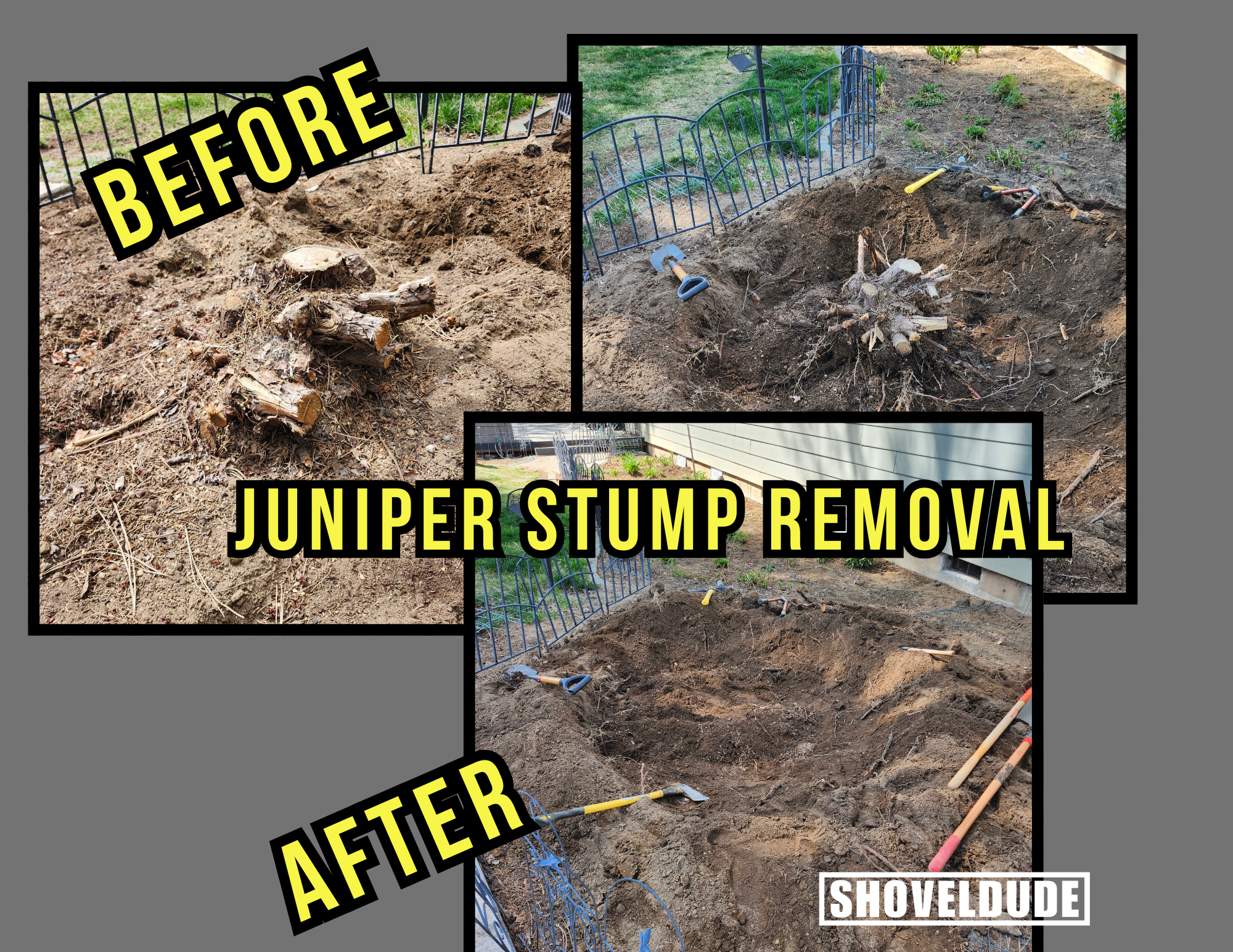 Juniper Stump Removal