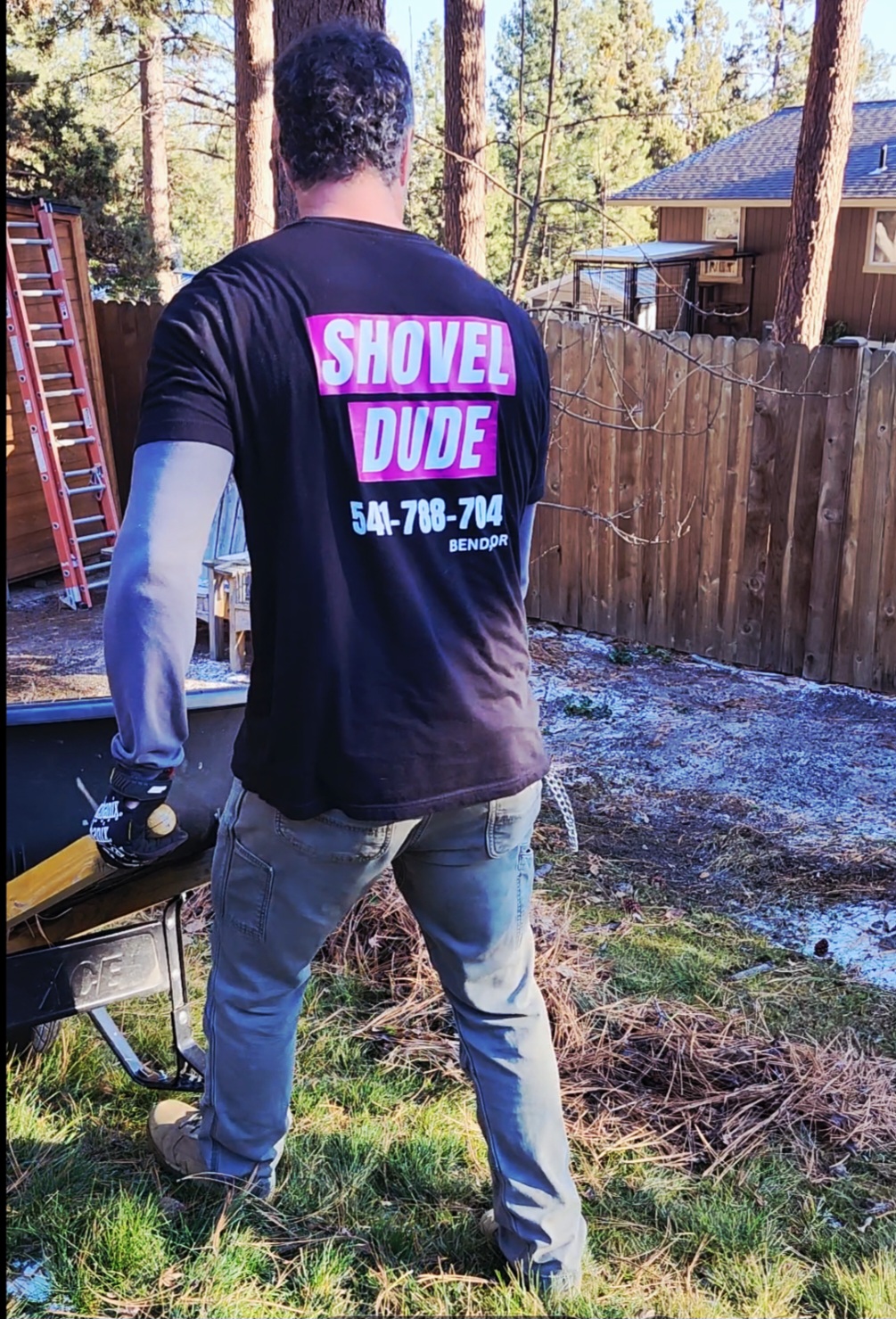 Pine Needle Cleanup